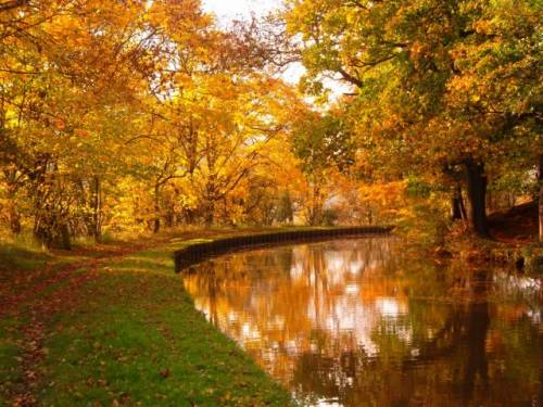 October 2015 - Autumn tints on the canal