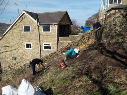 Planting in progress - yes, it is as steep and hard as it looks!